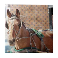 Amish Horse Tile