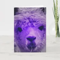 Purple Alpaca, Birthday Card