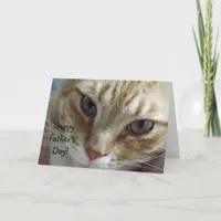 Happy Father's Day from Cat Card