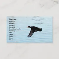 Flying Duck Business Card