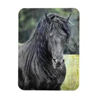 Friesian Stallion Magnet