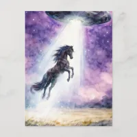 Beautiful Black Horse and UFO Postcard