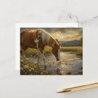 Paint Mare Crossing the Creek Postcard