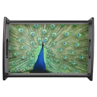 Serving Tray - Proud Peacock