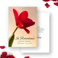 Red Tulip Flower Spring Funeral Memorial Sympathy Thank You Card