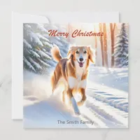 Saluki Dog In Snow Merry Christmas Holiday Card