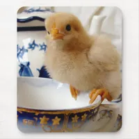 Buff Chick At Tea Mouse Pad