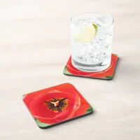 Red Tulip Flower Macro Photo Set of 6 Drink Coaster