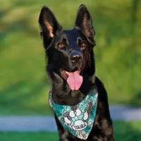 Teal and Black Fluid Art Personalized Pet Bandana Collar