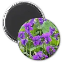 Wisconsin Wood Violets Magnet