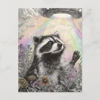 Raccoon and a UFO Postcard