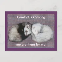 Sweet Dreams Ferrets Postcard