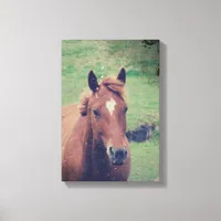 Scotch Grunge Canvas Print