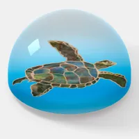 Paperweight - Swimming Turtle