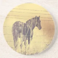 Black Horse Grunge Sandstone Coaster