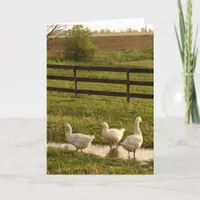 Rainy Day Geese Card