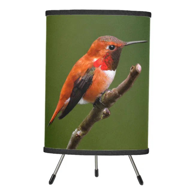 Stunning Rufous Hummingbird on the Cherry Tree Tripod Lamp