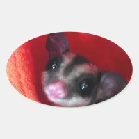 Sugar Glider in Orange Hanging Bed Oval Sticker