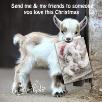 Cute Kid Goats Snow Babies 1 Christmas Holiday Card