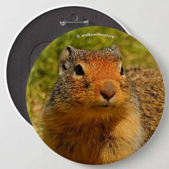 A Twitchy-Nosed Columbian Ground Squirrel Pinback Button