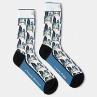 Comical Steller's Jay Bird Socks