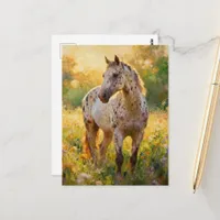 Gorgeous Appaloosa Horse in the Meadow  Postcard