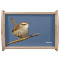 A Curious Bewick's Wren in the Tree Serving Tray