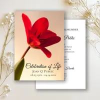 Red Tulip Spring Celebration of Life Funeral Invitation