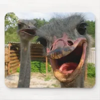 Ostrich Couple Mousepad