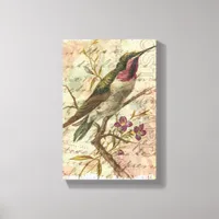 Vintage Hummingbird Canvas Print