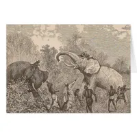 Hunting Elephants