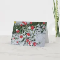 Funny Spring in Wisconsin Tulips in Snow Card