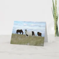 Assateague Ponies, Thank you Holiday Card