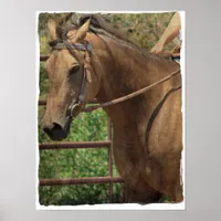 Buckskin Western Poster