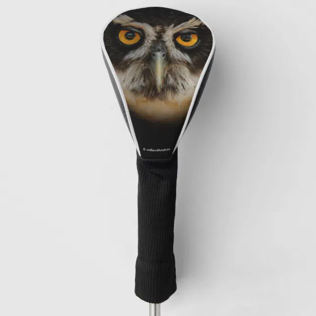 Mesmerizing Golden Eyes of a Spectacled Owl Golf Head Cover