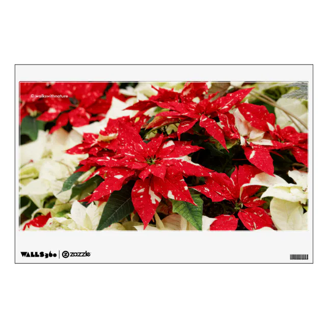 Festive Red White Floral Poinsettias Wall Sticker