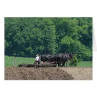 Turning a Six-Horse Team