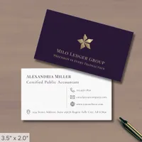 Simple Elegant Professional Business Card