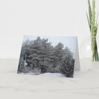 Frosty Winter Wonderland Holiday Card