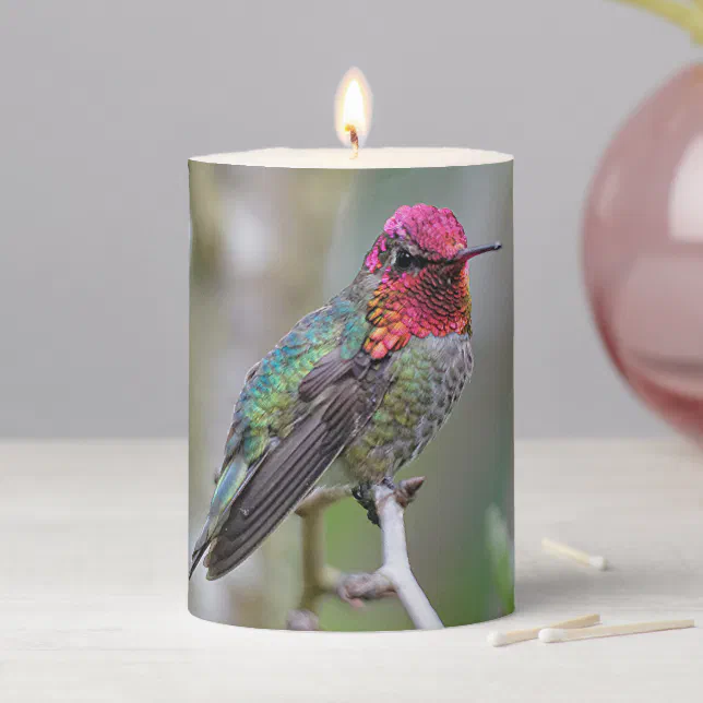 Stunning Male Anna's Hummingbird on the Plum Tree Pillar Candle