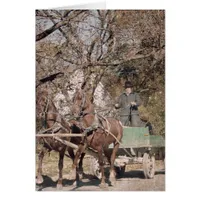 Two Horse Team and Wagon Cards