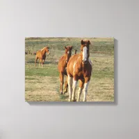 Feed Time Canvas Print