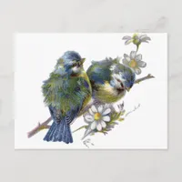 Happy Vintage Birds Postcard