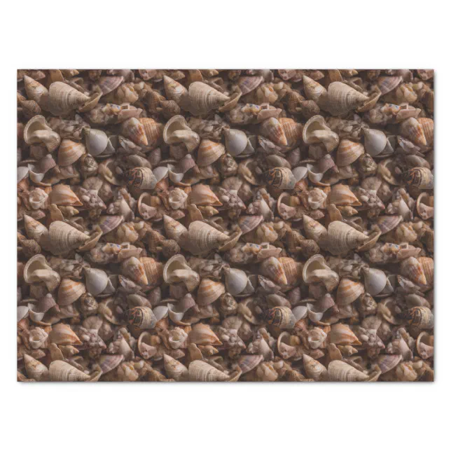 Box of Seashells Repeating Pattern Tissue Paper