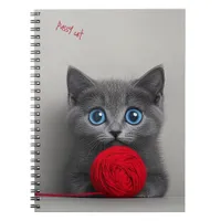 Cute Gray Kitten Playing with Red Wool Ball Notebook