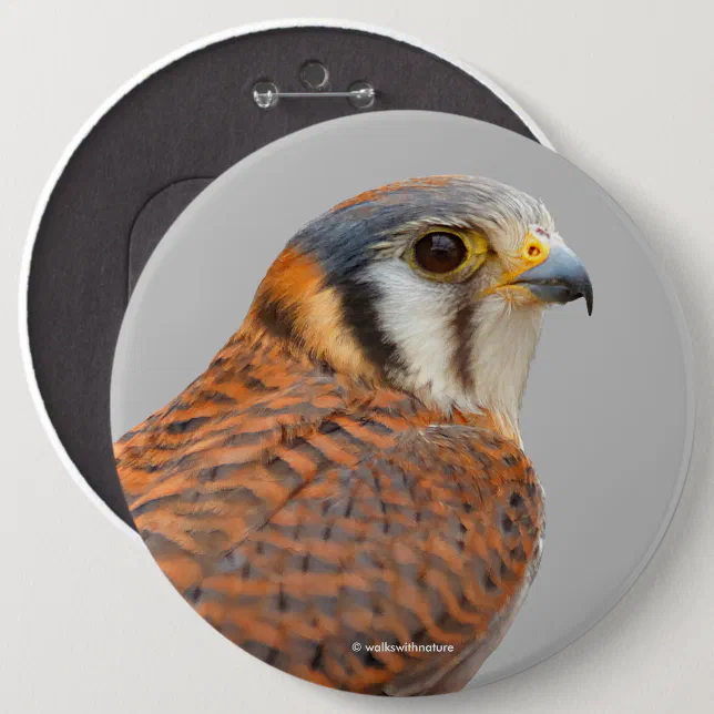 Stunning American Kestrel Sparrowhawk Falcon Button