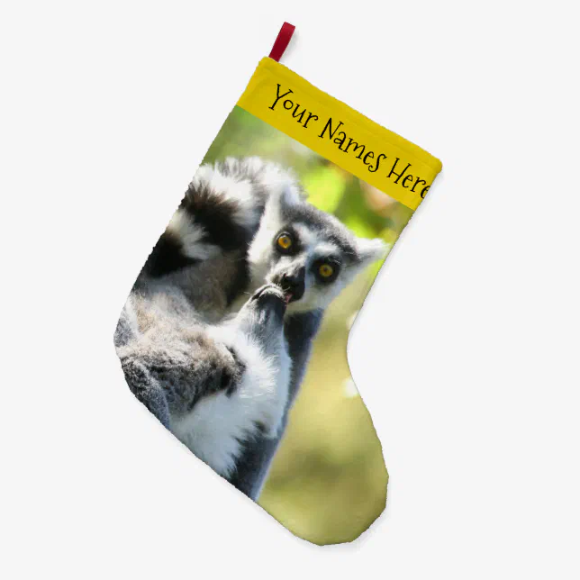 Funny Surprised Lemurs of Madagascar Large Christmas Stocking