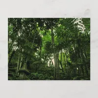 Portugal Madeira : Canopy of Lushness Postcard