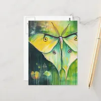 Luna Moth Postcard