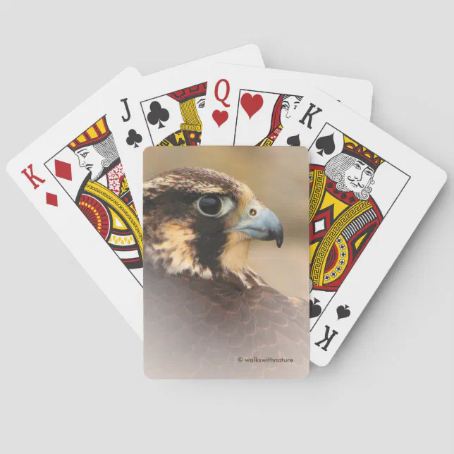 Stunning Vignetted Profile of a Peregrine Falcon Poker Cards